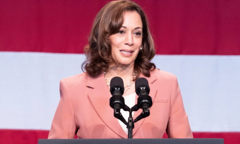Bill aims to nullify EV tax credit, VP auto suppliers grant, Stellantis UAW members vote to strike over safety concerns Bill aims to nullify EV tax credit, VP auto suppliers grant, Stellantis UAW members vote to strike over safety concerns