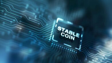 Which Countries are Leading the Global Stablecoin Race, and How?