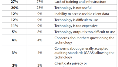 Data analytics and visualization in the audit