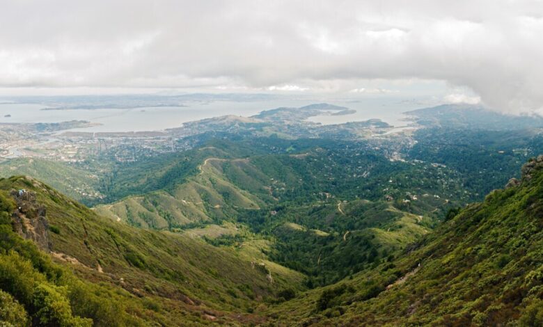 Grand Jury Calls for Cyber Authority in Marin County, Calif. Grand Jury Calls for Cyber Authority in Marin County, Calif.