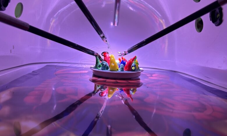 Here’s how you can play with surgical robots Here’s how you can play with surgical robots