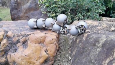 Iron-shelled robo-snails swarm together for off-road tasks