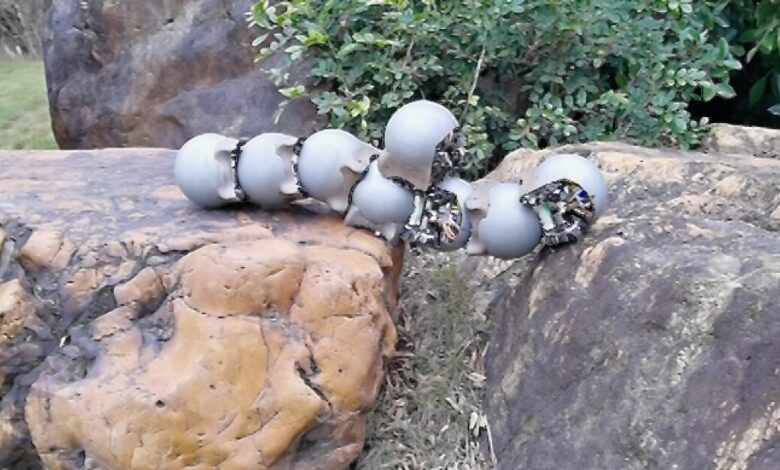 Iron-shelled robo-snails swarm together for off-road tasks Iron-shelled robo-snails swarm together for off-road tasks