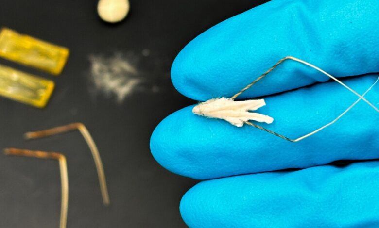 Self-planting bio-hybrid “robotic seeds” inspired by wild oats Self-planting bio-hybrid “robotic seeds” inspired by wild oats
