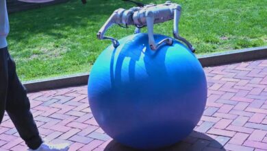 GPT trains robots better than humans – as proven by this dog on a yoga ball