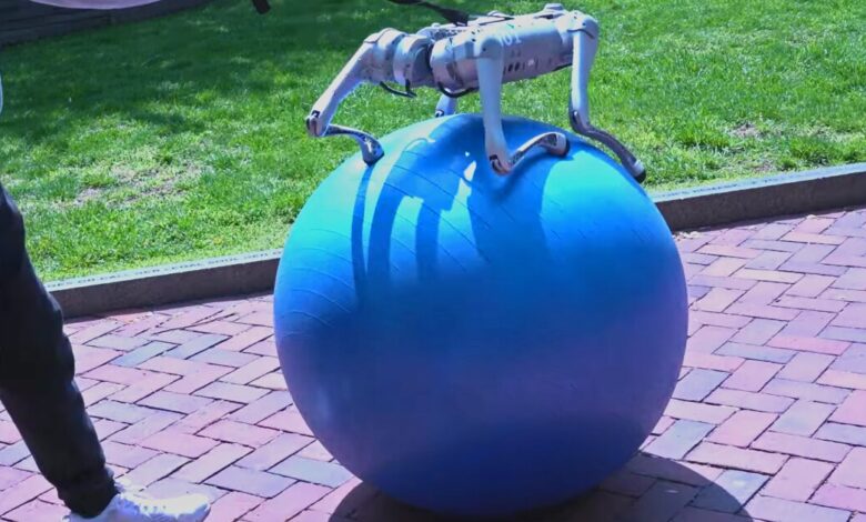 GPT trains robots better than humans – as proven by this dog on a yoga ball GPT trains robots better than humans – as proven by this dog on a yoga ball