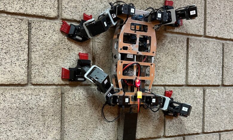 Clever rock-climbing robot channels its inner insect (and marsupial) Clever rock-climbing robot channels its inner insect (and marsupial)