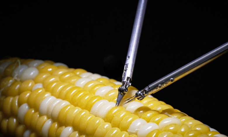 Sony’s new microsurgery robot stitches up a corn kernel Sony’s new microsurgery robot stitches up a corn kernel