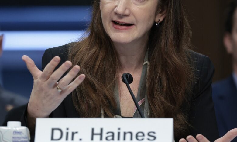 U.S. elections face more threats from foreign actors and artificial intelligence U.S. elections face more threats from foreign actors and artificial intelligence