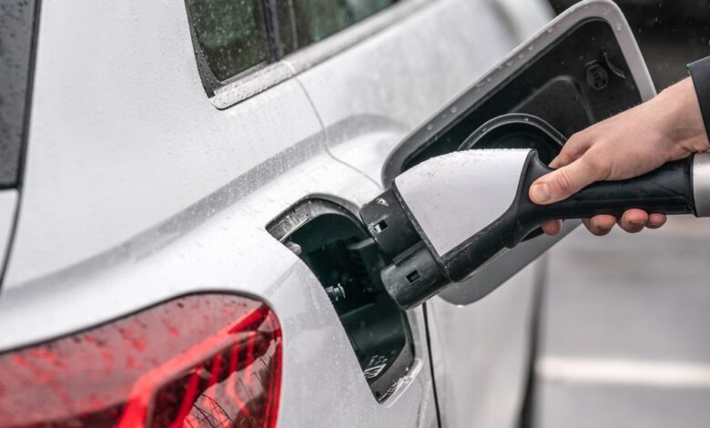 Major car brand pauses development of electric vehicles amid low demand Major car brand pauses development of electric vehicles amid low demand