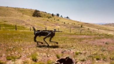 Robot Dogs with AI-Targeting Rifles Now Under US MARSOC Testing : Science : Tech Times