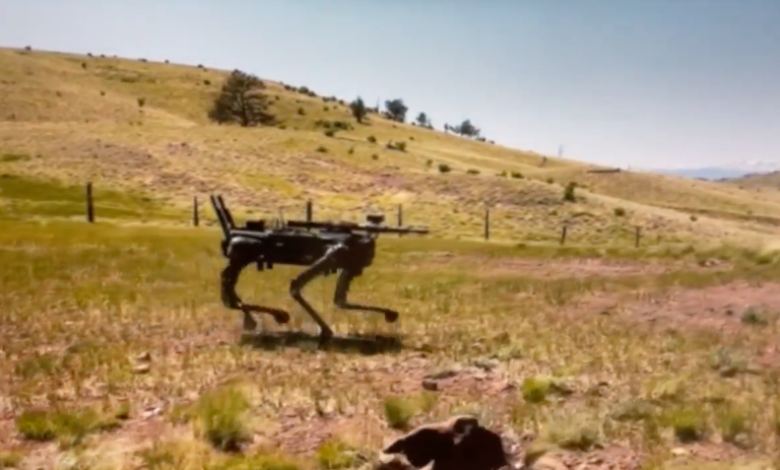 Robot Dogs with AI-Targeting Rifles Now Under US MARSOC Testing : Science : Tech Times Robot Dogs with AI-Targeting Rifles Now Under US MARSOC Testing : Science : Tech Times