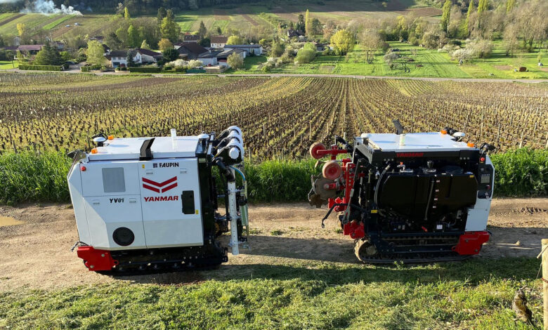 Moët backs robots to manage vineyards in Champagne Moët backs robots to manage vineyards in Champagne