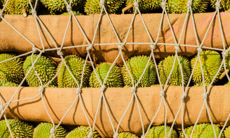 China’s Lust for Durian Is Creating Fortunes in Southeast Asia China’s Lust for Durian Is Creating Fortunes in Southeast Asia