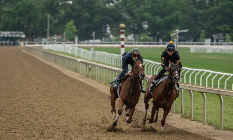 Saratoga Springs Will Host Belmont Stakes Amid Shifts in Horse Racing Saratoga Springs Will Host Belmont Stakes Amid Shifts in Horse Racing