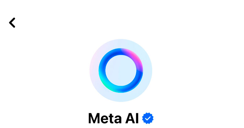 Can I Opt Out of Meta’s A.I. Scraping on Instagram and Facebook? Sort of … Can I Opt Out of Meta’s A.I. Scraping on Instagram and Facebook? Sort of …