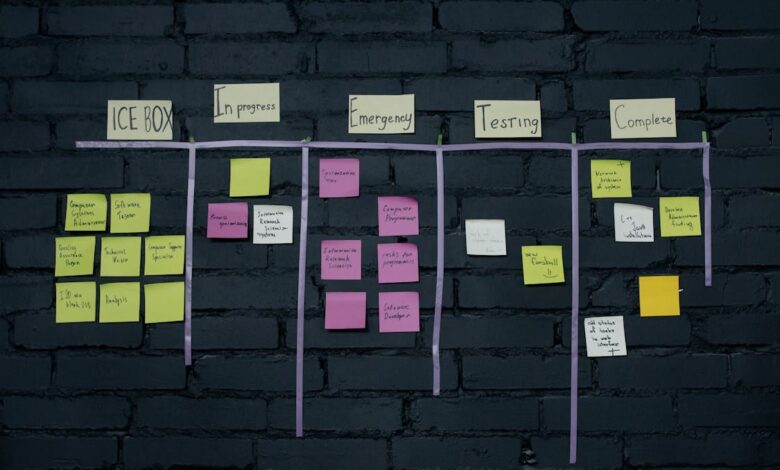 Effective Strategies for Managing ML Initiatives | by Anna Via | Jun, 2024 Effective Strategies for Managing ML Initiatives | by Anna Via | Jun, 2024