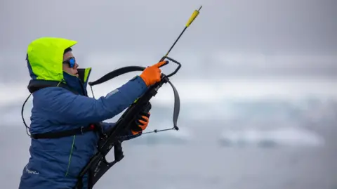 Paul Fahy/WWF Whale biologist Dr Natalia Botero-Acosta prepares to take a remote tissue biopsy from a whale, using a crossbow 