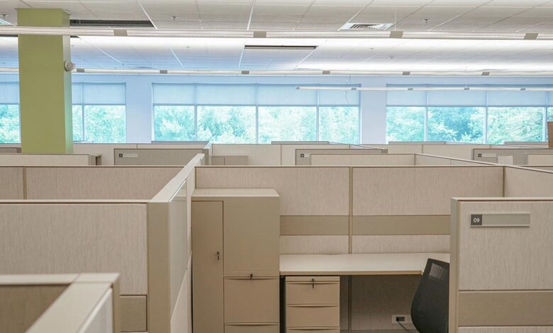 Desire to Be Own Boss Widely Held in U.S. Desire to Be Own Boss Widely Held in U.S.