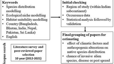 Use of species distribution models to study habitat suitability for sustainable management and conservation in the Indian subcontinent: A decade’s retrospective