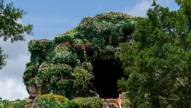 Disney’s Splash Mountain Set to Reopen With Princess Tiana Theme