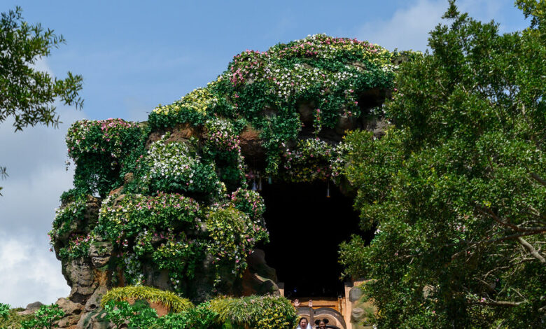 Disney’s Splash Mountain Set to Reopen With Princess Tiana Theme Disney’s Splash Mountain Set to Reopen With Princess Tiana Theme