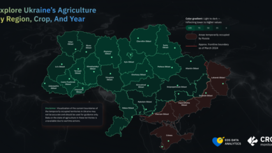 “Harvest of Hope” from EOS Data Analytics will help Ukrainian agrarians