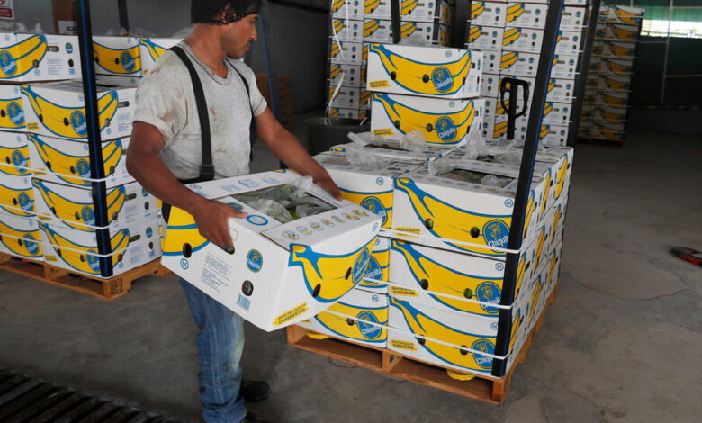 Chiquita Banana Held Liable for Paramilitary Group’s Killings During Colombian Civil War Chiquita Banana Held Liable for Paramilitary Group’s Killings During Colombian Civil War