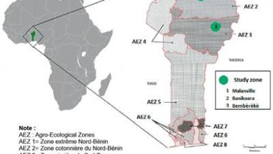 Resource endowment and sustainable soil fertility management strategies in maize farming systems in northern Benin