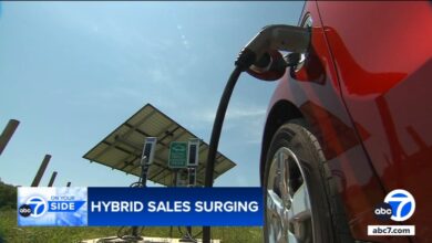 Why hybrid cars sales are revving up while EVs are hitting a speed bump