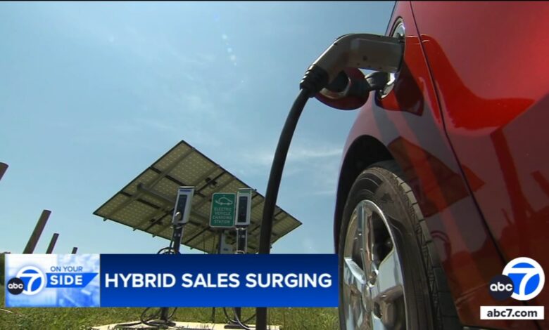 Why hybrid cars sales are revving up while EVs are hitting a speed bump Why hybrid cars sales are revving up while EVs are hitting a speed bump