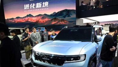 BYD’s May Deliveries Show a Tough Trend for Tesla