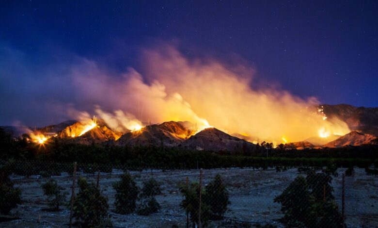 Biden-Harris Administration invests in artificial intelligence (AI) to help fight wildfires Biden-Harris Administration invests in artificial intelligence (AI) to help fight wildfires