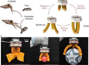 Cutting-edge robotics: Introducing the hybrid