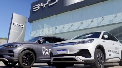 BYD nearly tops all-time sales record in May with EV price cuts