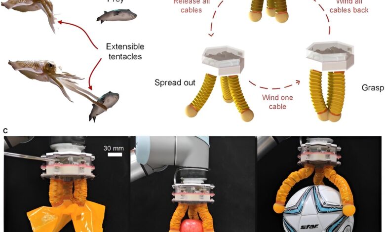 Researchers introduce the hybrid-driven origami gripper Researchers introduce the hybrid-driven origami gripper