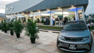 BYD opens shop in Caribbean with 10 new markets coming soon