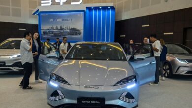 BYD says to build second EU factory despite EV slowdown