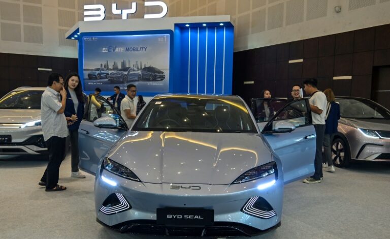 BYD says to build second EU factory despite EV slowdown BYD says to build second EU factory despite EV slowdown