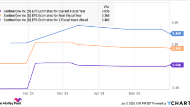 This Artificial Intelligence (AI) Stock Is Down 38% in 2024. Should Investors Start Buying It Hand Over Fist Right Away?