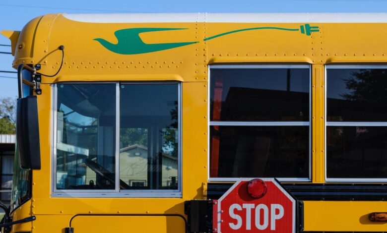 School Bus Maker Blue Bird Is Maybe The Most Successful EV Company In The World Right Now School Bus Maker Blue Bird Is Maybe The Most Successful EV Company In The World Right Now
