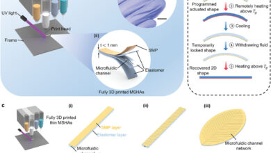 3D-printed mini-actuators can move small soft robots, lock them into new shapes