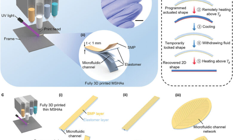 3D-printed mini-actuators can move small soft robots, lock them into new shapes 3D-printed mini-actuators can move small soft robots, lock them into new shapes