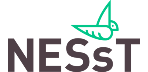 NESsT and IKEA Social Entrepreneurship Welcome New Enterprises to Catalyze Positive Change in South America NESsT and IKEA Social Entrepreneurship Welcome New Enterprises to Catalyze Positive Change in South America