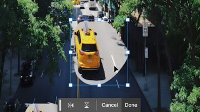 New generative AI technique allows for better photo editing—in 3D