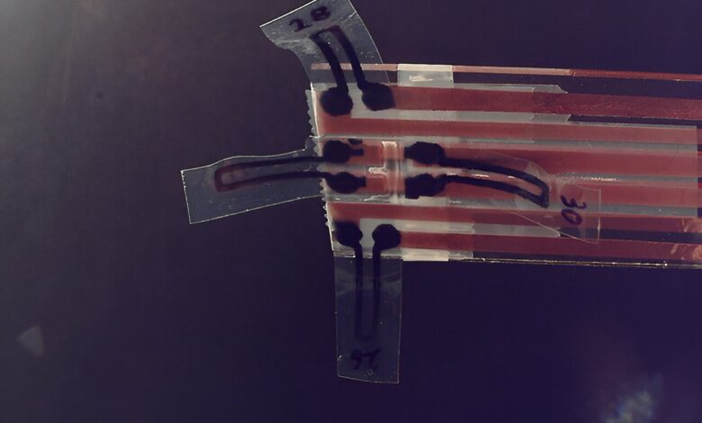 New soft robotic gripper designed with graphene and liquid crystals New soft robotic gripper designed with graphene and liquid crystals