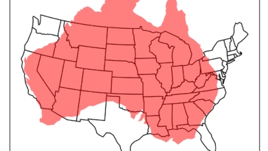 Comparing Country Sizes with GeoPandas | by Lee Vaughan | Jun, 2024