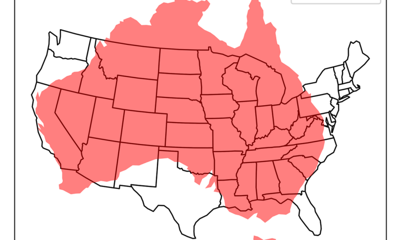 Comparing Country Sizes with GeoPandas | by Lee Vaughan | Jun, 2024 Comparing Country Sizes with GeoPandas | by Lee Vaughan | Jun, 2024