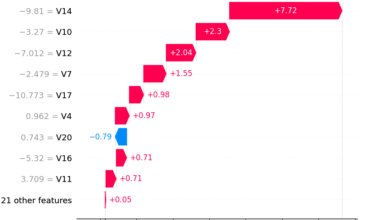 Model Interpretability Using Credit Card Fraud Data | by Danila Morozovskii | Jun, 2024