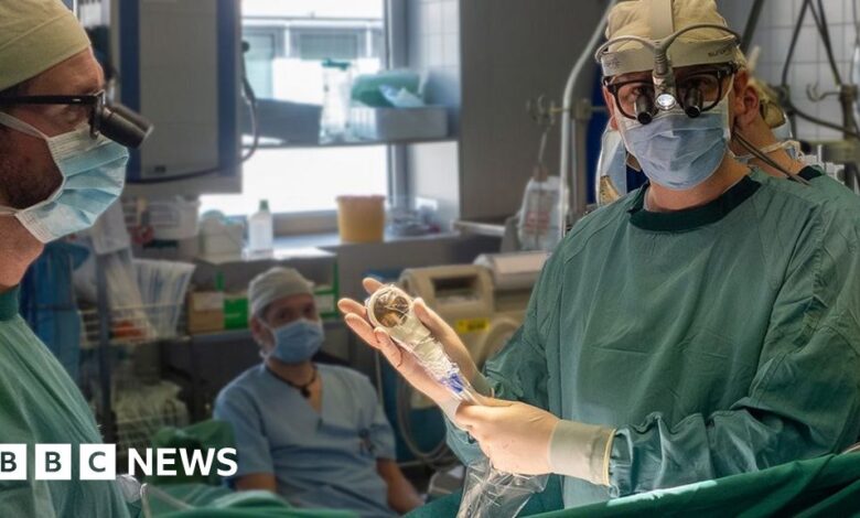 ‘Space hairdryer’ regenerates heart tissue in study ‘Space hairdryer’ regenerates heart tissue in study